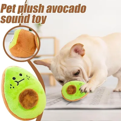 IntiMeg Jeux pour chiens mâchoires énergiques