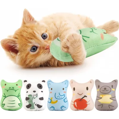 Pet Planet Chats 5 Pièces Jouet Menthe pour Chat