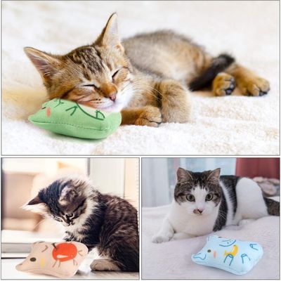Pet Planet Chats 5 Pièces Jouet Menthe pour Chat