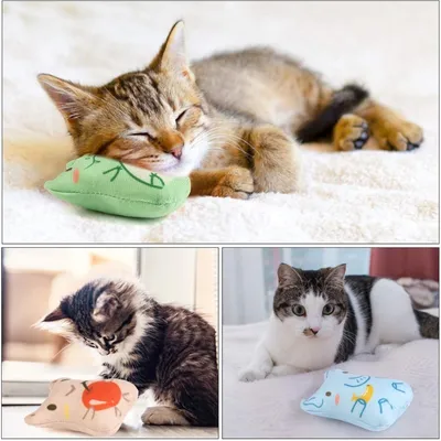 Pet Planet Chats 5 Pièces Jouet Menthe pour Chat