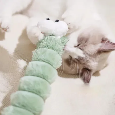 Pet Planet Chats Cozy Lot De Jouets De Ver En Peluche