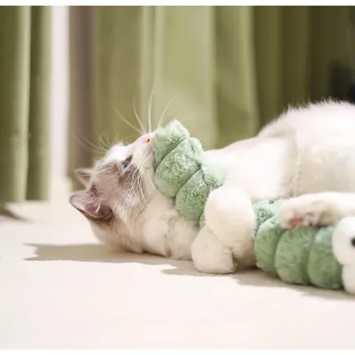 Pet Planet Chats Cozy Lot De Jouets De Ver En Peluche