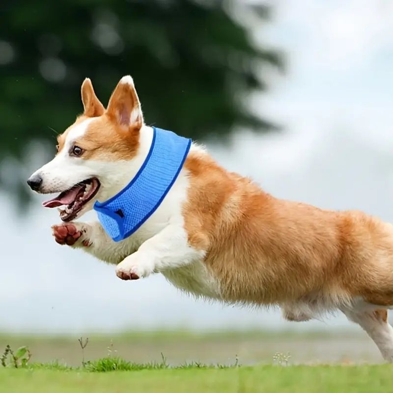 Pet Planet Chiens 2 Pièces Cooling Bandana