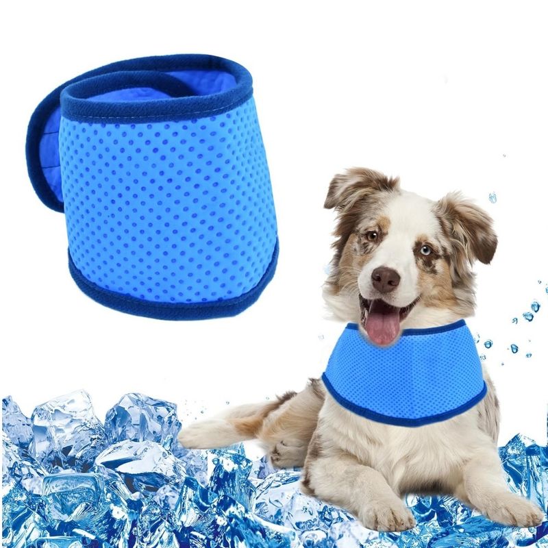 Petopia Collier rafraîchissant pour chien