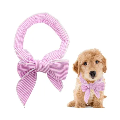Petopia Collier rafraîchissant pour chien Petopia Collier rafraîchissant pour chien