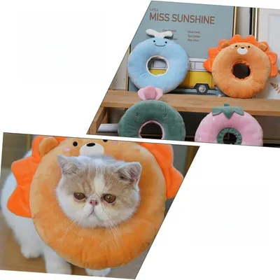 Petopia Collier de Récupération pour Chat