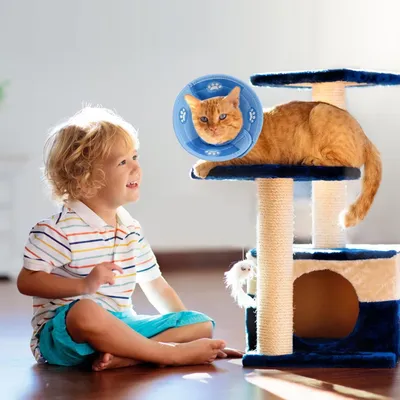 Petopia Collier anti-léchage et anti-griffures pour chat