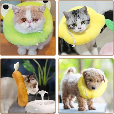 Petopia Collerette Anti - Morsure pour Chien et Chat