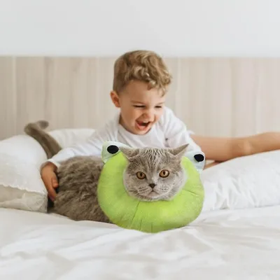 Petopia Collerette Anti - Morsure pour Chien et Chat