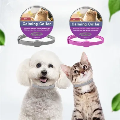 Pet Planet Collier calmant pour chats