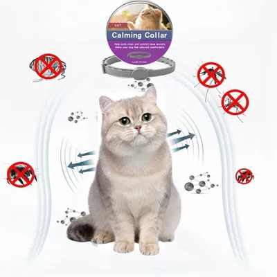 Pet Planet Collier calmant pour chats