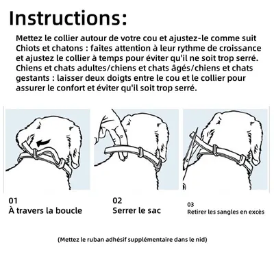 Pet Planet Collier calmant pour chats