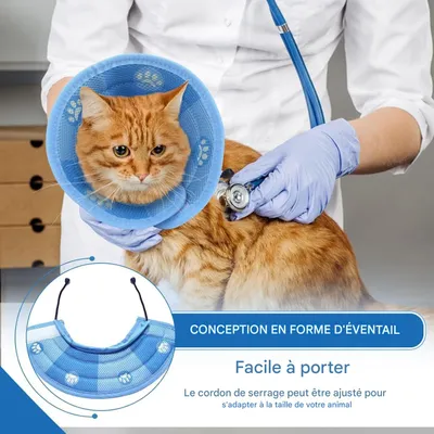 Petopia Collier anti-léchage et anti-griffures pour chat