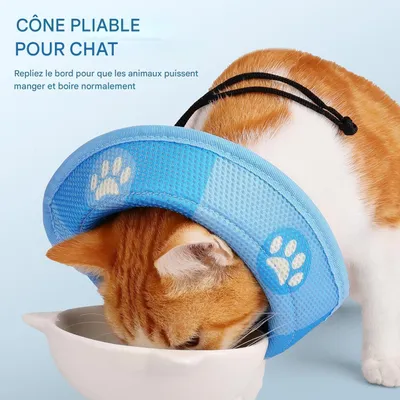 Petopia Collier anti-léchage et anti-griffures pour chat