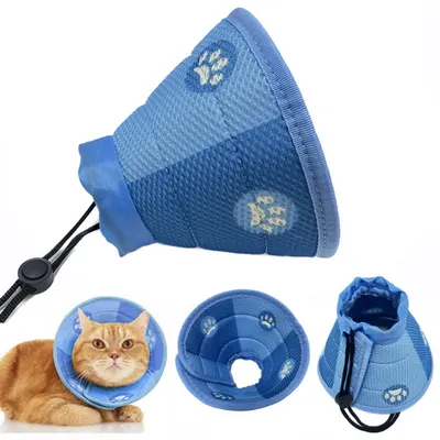 Petopia Collier anti-léchage et anti-griffures pour chat Petopia Collier anti-léchage et anti-griffures pour chat