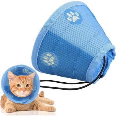 Petopia Collier anti-léchage et anti-griffures pour chat