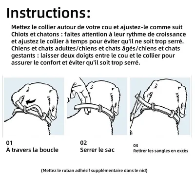 Pet Planet Collier antiparasitaire pour chats