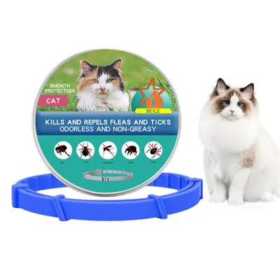 Pet Planet Collier antipuce et antipunaises pour chats Pet Planet Collier antipuce et antipunaises pour chats