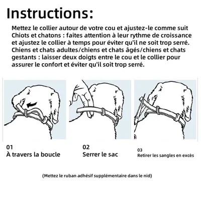 Pet Planet Collier antipuce et antipunaises pour chats