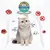 Pet Planet Collier antipuce et antipunaises pour chats