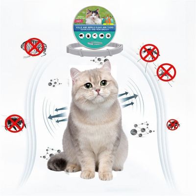 Pet Planet Collier antipuce et antipunaises pour chats