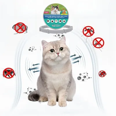 Pet Planet Collier antipuce et antipunaises pour chats