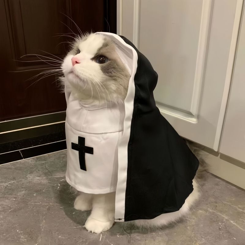 FurryFusion Costume Religieuse pour chat