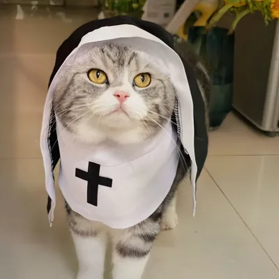 FurryFusion Cosplay-Kostüm „Nun Kitten“ FurryFusion Cosplay-Kostüm „Nun Kitten“