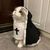 FurryFusion Costume de cosplay Nun Kitten