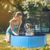 Pataugeoire pliable pour chien