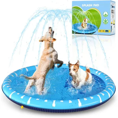Coussin d'eau, piscine pour chiens