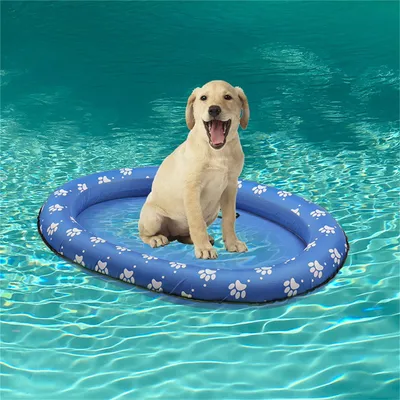 Pet Planet Flotteur gonflable pour chien