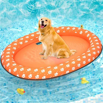 IntiMeg Bouée de piscine pour chien