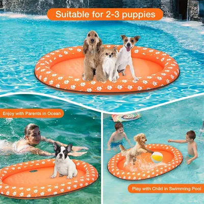 IntiMeg Bouée de piscine pour chien