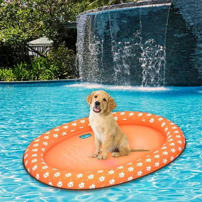 IntiMeg Bouée de piscine pour chien