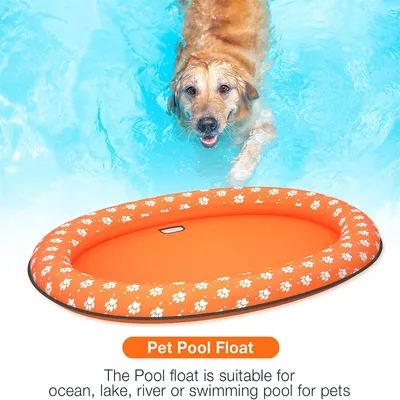 IntiMeg Bouée de piscine pour chien