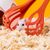 Petopia Pince pour hamster