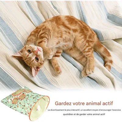 Pet Planet Chats Tunnels Pliables avec Sacs à Rideaux Jouets