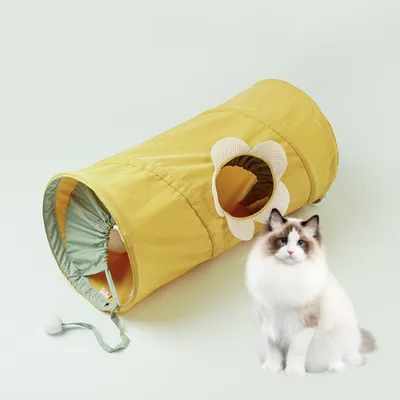 Petopia Tunnel en spirale pliable pour chat