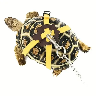 FurryFusion Harnais réglable pour tortue