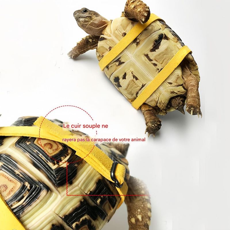 FurryFusion Harnais réglable pour tortue