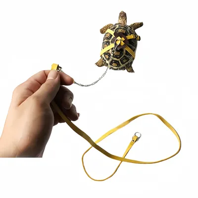 FurryFusion Harnais réglable pour tortue