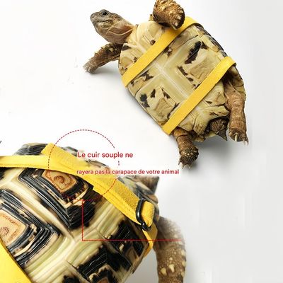 FurryFusion Harnais réglable pour tortue