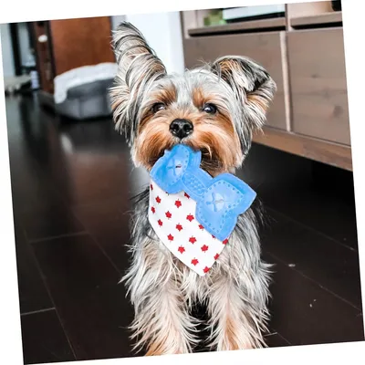 Pet Planet Jouet congelable en forme d'os pour chien (2 pièces)