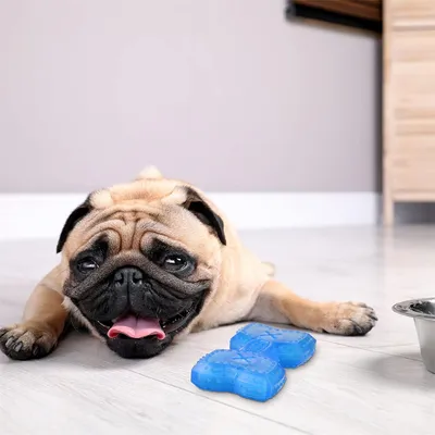 Pet Planet Jouet congelable en forme d'os pour chien (2 pièces)