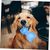 Pet Planet Jouet congelable en forme d'os pour chien (2 pièces)