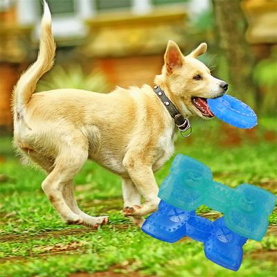 Pet Planet Jouet congelable en forme d'os pour chien (2 pièces)