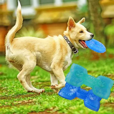Pet Planet Jouet congelable en forme d'os pour chien (2 pièces)