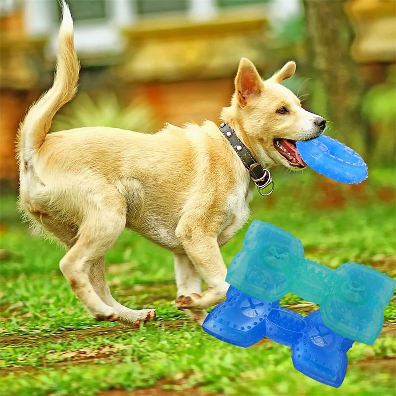 Pet Planet Jouet congelable en forme d'os pour chien (2 pièces)