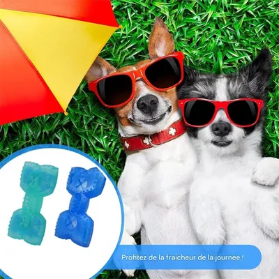 Pet Planet Jouet congelable en forme d'os pour chien (2 pièces)